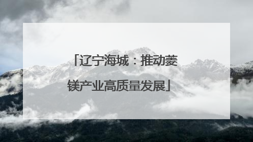 辽宁海城：推动菱镁产业高质量发展