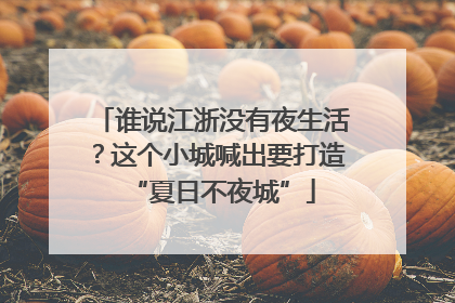 谁说江浙没有夜生活？这个小城喊出要打造“夏日不夜城”