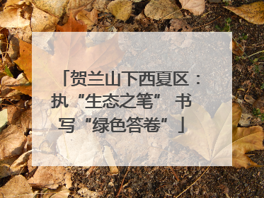 贺兰山下西夏区：执“生态之笔” 书写“绿色答卷”