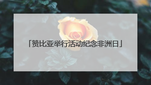 赞比亚举行活动纪念非洲日