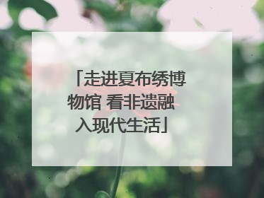 走进夏布绣博物馆 看非遗融入现代生活