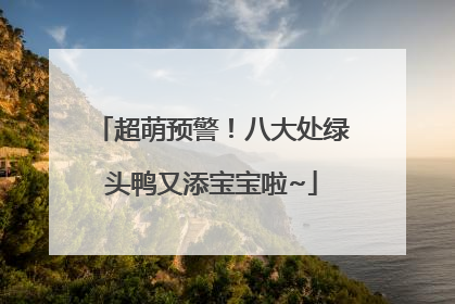超萌预警！八大处绿头鸭又添宝宝啦~