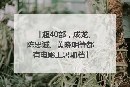 超40部，成龙、陈思诚、黄晓明等都有电影上暑期档