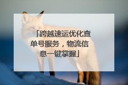跨越速运优化查单号服务，物流信息一键掌握