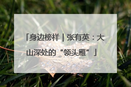 身边榜样｜张有英：大山深处的“领头雁”