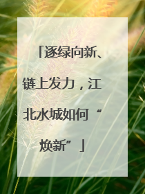逐绿向新、链上发力，江北水城如何“焕新”