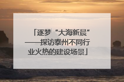 逐梦“大海新晨”——探访泰州不同行业火热的建设场景
