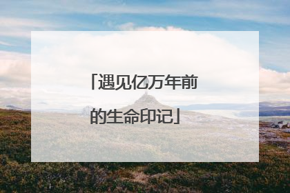 遇见亿万年前的生命印记