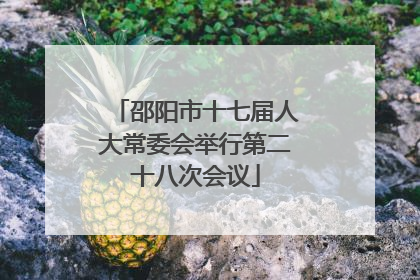 邵阳市十七届人大常委会举行第二十八次会议