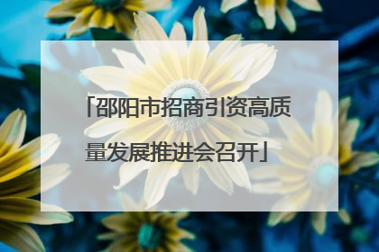 邵阳市招商引资高质量发展推进会召开