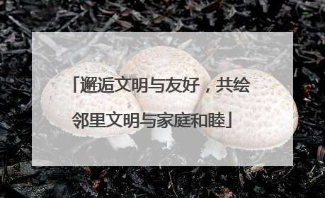邂逅文明与友好，共绘邻里文明与家庭和睦
