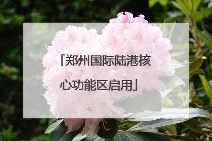 郑州国际陆港核心功能区启用
