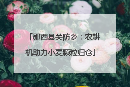 郧西县关防乡：农耕机助力小麦颗粒归仓
