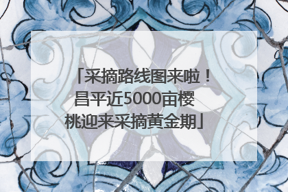采摘路线图来啦！昌平近5000亩樱桃迎来采摘黄金期
