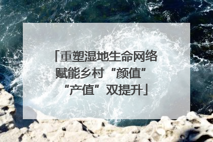 重塑湿地生命网络 赋能乡村“颜值”“产值”双提升