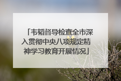 韦韬督导检查全市深入贯彻中央八项规定精神学习教育开展情况
