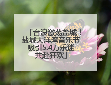 音浪激荡盐城！盐城大洋湾音乐节吸引5.4万乐迷共赴狂欢