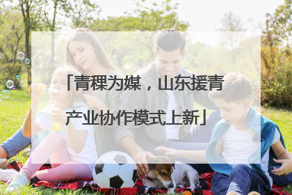 青稞为媒，山东援青产业协作模式上新