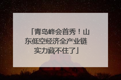 青岛峰会首秀！山东低空经济全产业链实力藏不住了