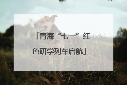 青海“七一”红色研学列车启航