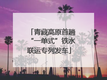 青藏高原首趟“一单式”铁水联运专列发车