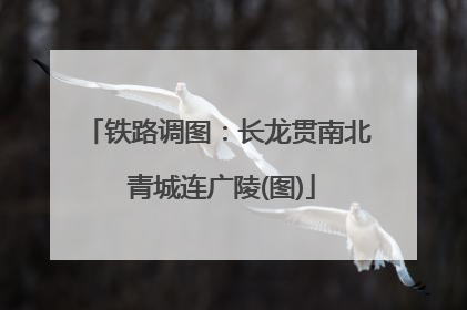 铁路调图：长龙贯南北 青城连广陵(图)