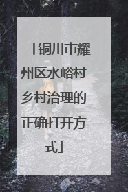 铜川市耀州区水峪村乡村治理的正确打开方式