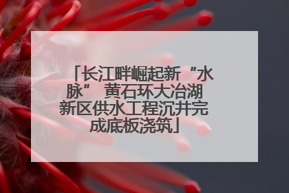 长江畔崛起新“水脉” 黄石环大冶湖新区供水工程沉井完成底板浇筑