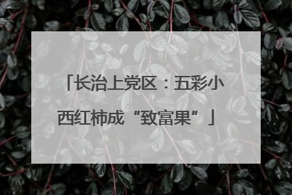 长治上党区：五彩小西红柿成“致富果”