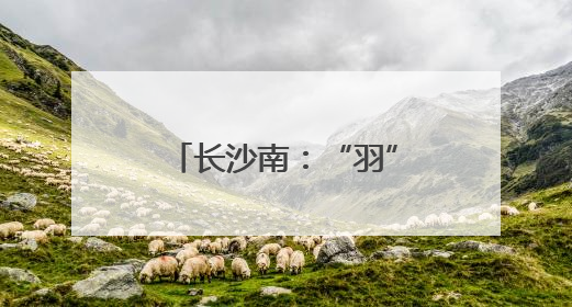长沙南：“羽”动赛场展风采 汗洒征途竞锋芒