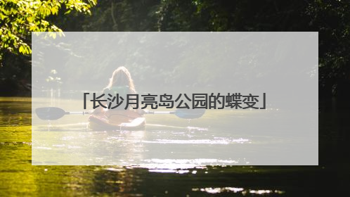 长沙月亮岛公园的蝶变