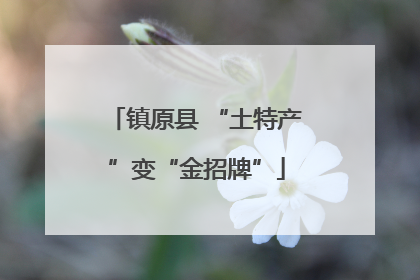 镇原县 “土特产”变“金招牌”