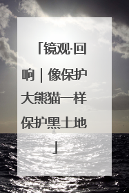 镜观·回响｜像保护大熊猫一样保护黑土地