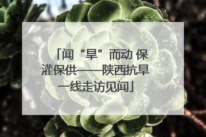 闻“旱”而动 保灌保供——陕西抗旱一线走访见闻