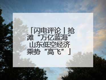 闪电评论丨抢滩“万亿蓝海” 山东低空经济乘势“高飞”