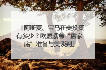 阿斯麦、宝马在美投资有多少？欧盟紧急“盘家底”准备与美谈判