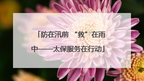 防在汛前 “救”在雨中——太保服务在行动