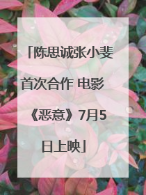 陈思诚张小斐首次合作 电影《恶意》7月5日上映