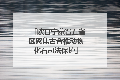 陕甘宁蒙晋五省区聚焦古脊椎动物化石司法保护