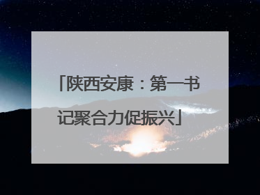 陕西安康：第一书记聚合力促振兴