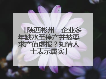 陕西彬州一企业多年缺水至停产并被要求产值虚报？知情人士表示属实
