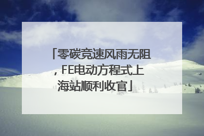 零碳竞速风雨无阻，FE电动方程式上海站顺利收官