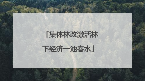集体林改激活林下经济一池春水