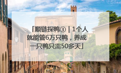 顺链探鸭③｜1个人就能管6万只鸭，养成一只鸭只需50多天