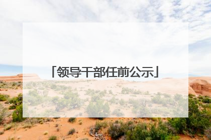 领导干部任前公示