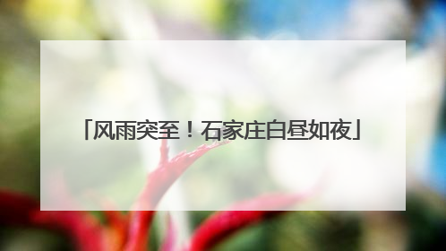 风雨突至！石家庄白昼如夜