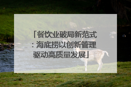 餐饮业破局新范式：海底捞以创新管理驱动高质量发展