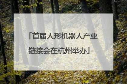 首届人形机器人产业链接会在杭州举办
