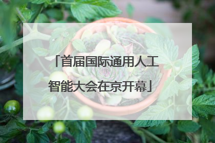 首届国际通用人工智能大会在京开幕