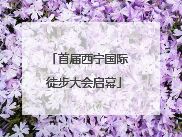 首届西宁国际徒步大会启幕